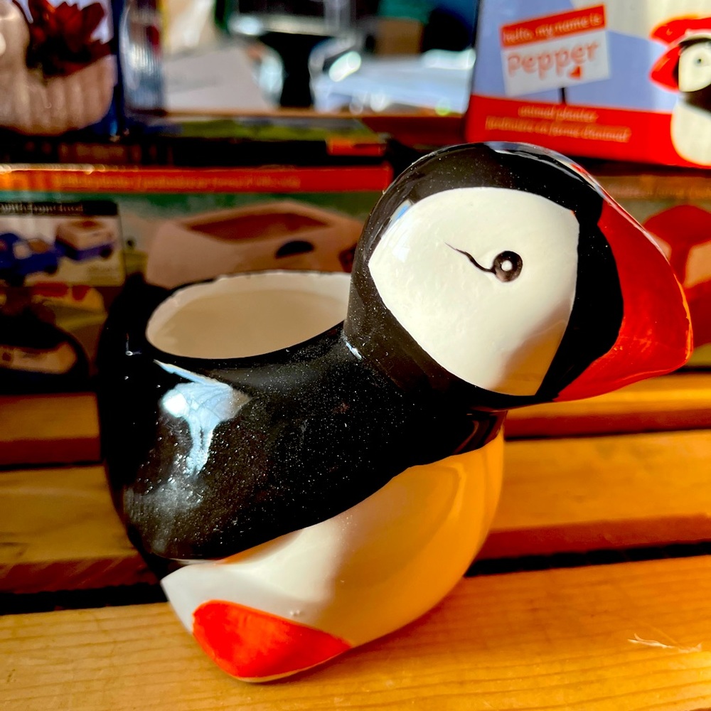 - Succulent or cactus planter puffin